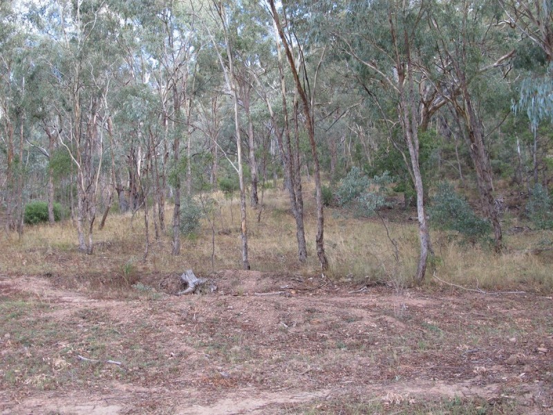 717 Maitland Bar Road, Mudgee NSW 2850