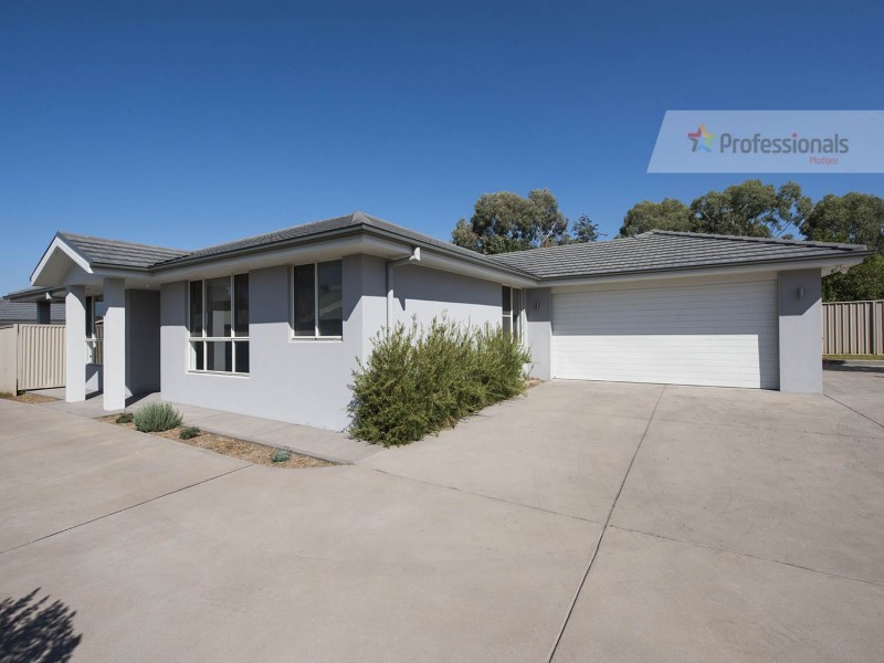 Mudgee NSW 2850