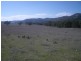 Mudgee NSW 2850