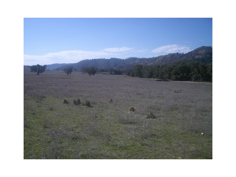 Mudgee NSW 2850