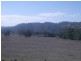 Mudgee NSW 2850