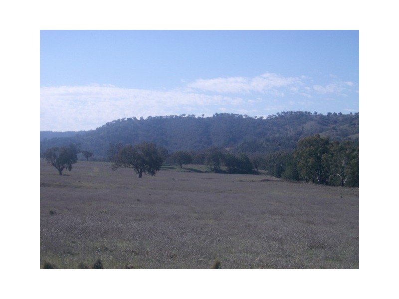 Mudgee NSW 2850