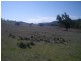 Mudgee NSW 2850