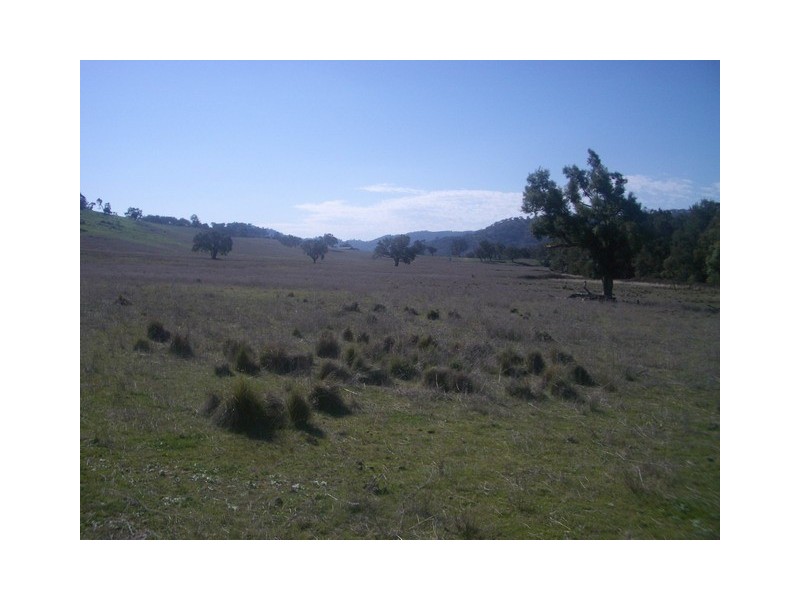 Mudgee NSW 2850