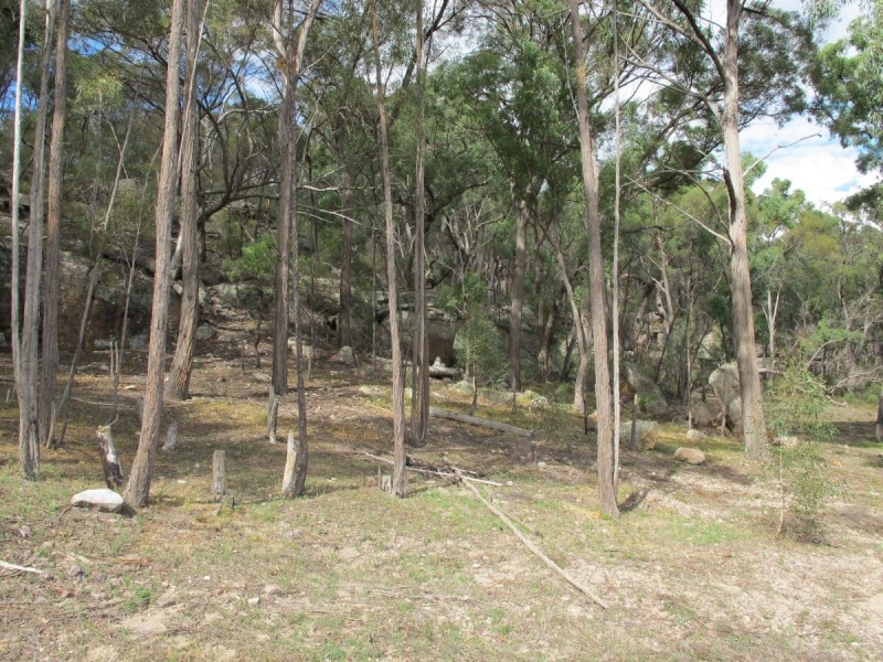 1532 Blue Springs Road, Mudgee NSW 2850