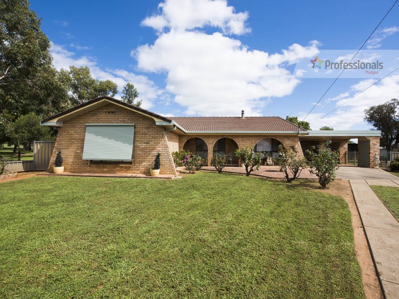 12 Scott Avenue, Gulgong NSW 2852