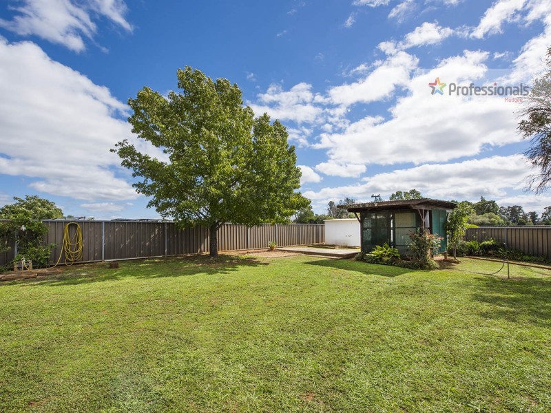 12 Scott Avenue, Gulgong NSW 2852