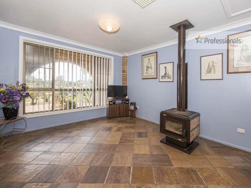 12 Scott Avenue, Gulgong NSW 2852