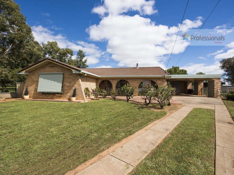 12 Scott Avenue, Gulgong NSW 2852