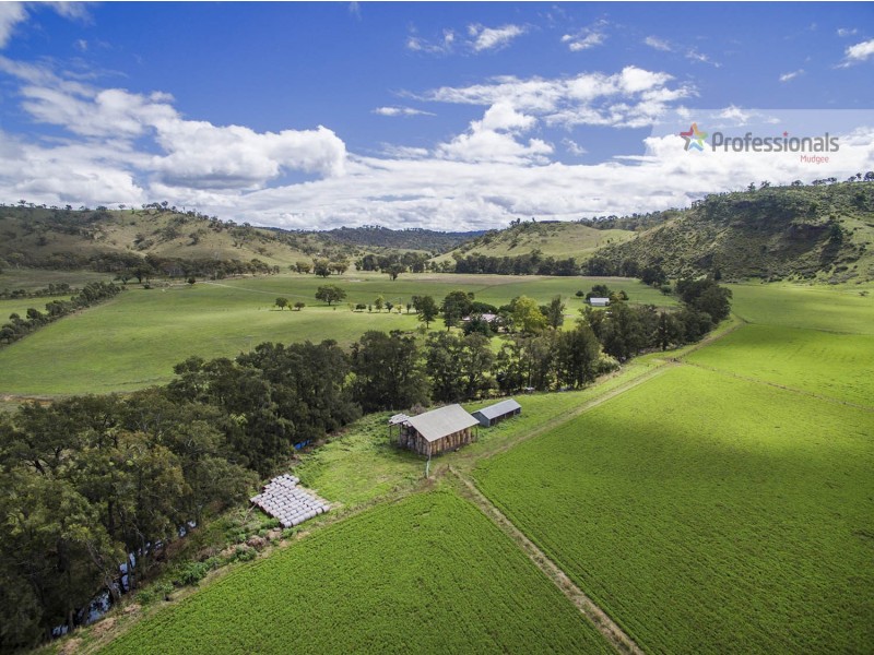 980 Cudgegong Road, Mudgee NSW 2850