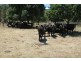 980 Cudgegong Road, Mudgee NSW 2850