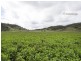 980 Cudgegong Road, Mudgee NSW 2850