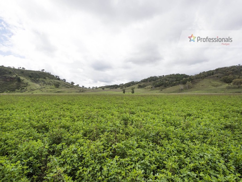 980 Cudgegong Road, Mudgee NSW 2850