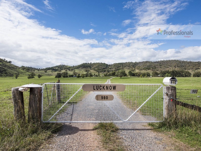 980 Cudgegong Road, Mudgee NSW 2850