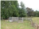 318 Gardiners Road, Mudgee NSW 2850