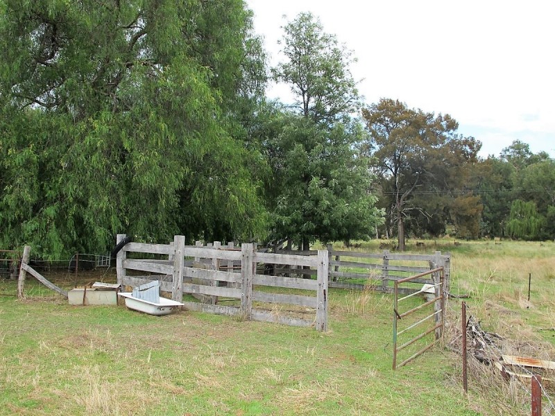 318 Gardiners Road, Mudgee NSW 2850
