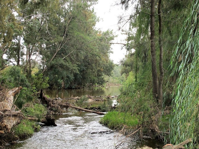 318 Gardiners Road, Mudgee NSW 2850