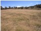 Mudgee NSW 2850