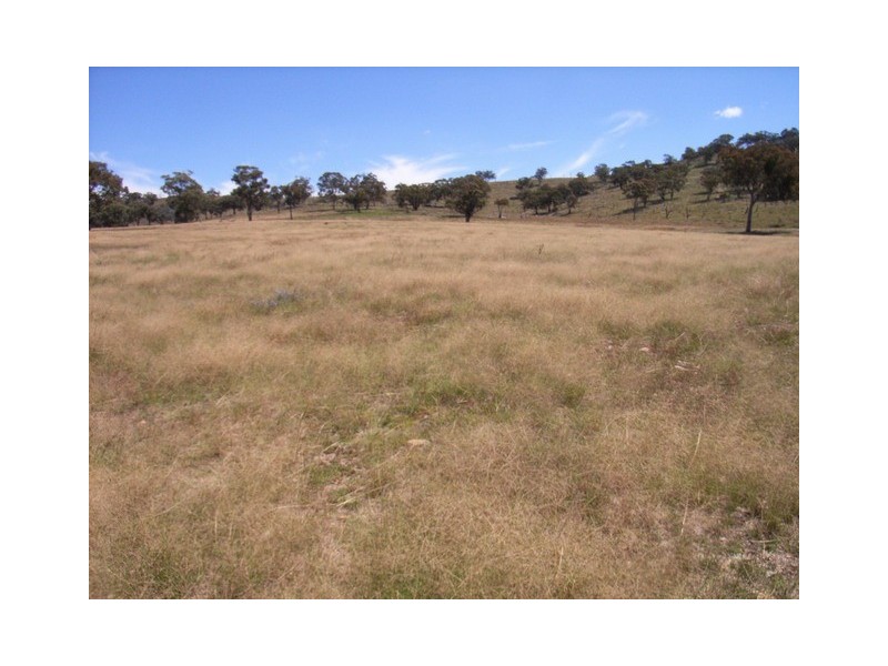 Mudgee NSW 2850