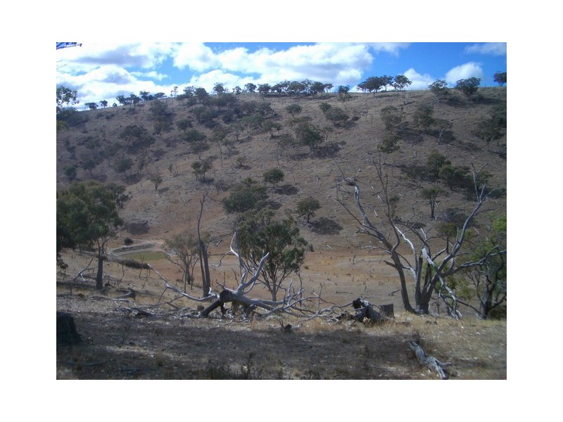 Mudgee NSW 2850