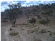 Mudgee NSW 2850