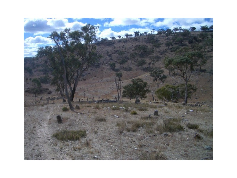 Mudgee NSW 2850