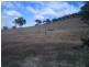 Mudgee NSW 2850