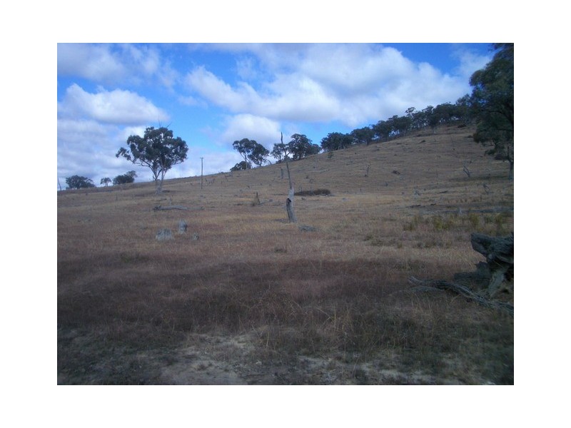 Mudgee NSW 2850
