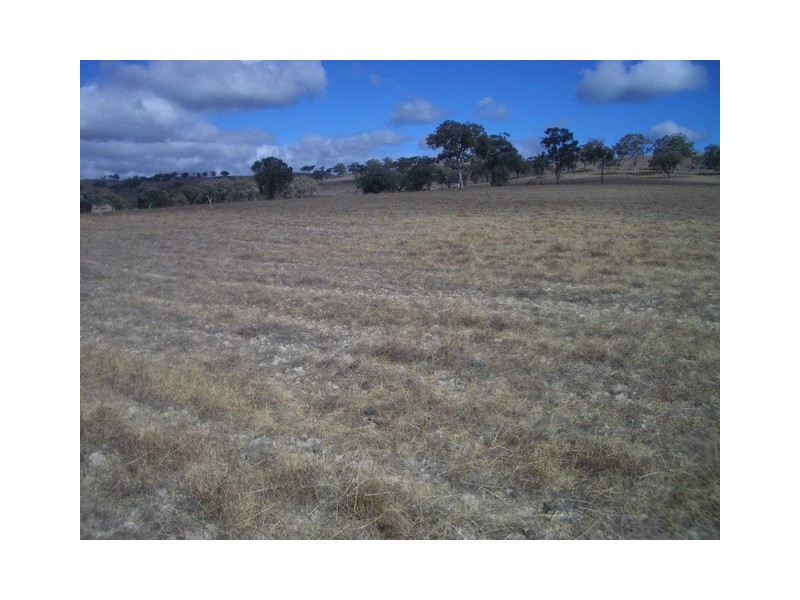 Mudgee NSW 2850