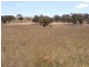 Mudgee NSW 2850