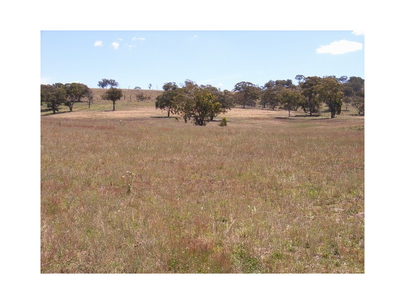 Mudgee NSW 2850