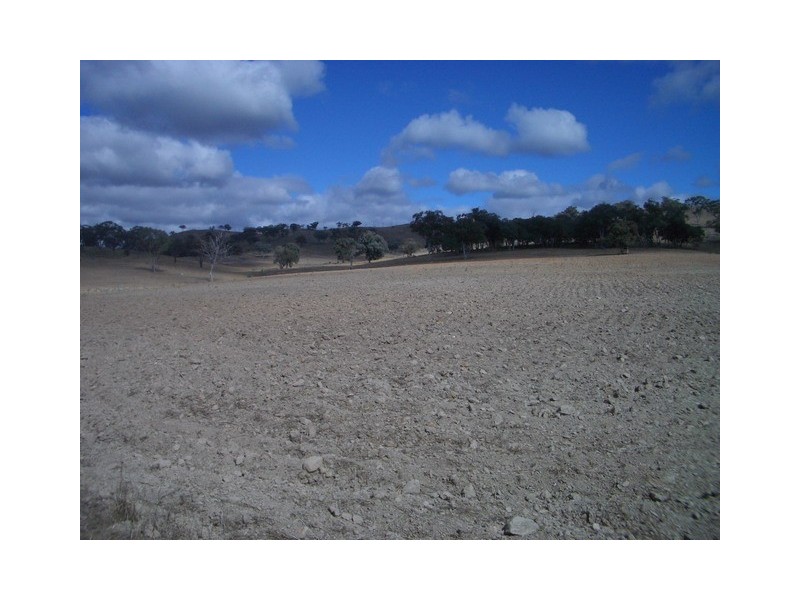 Mudgee NSW 2850