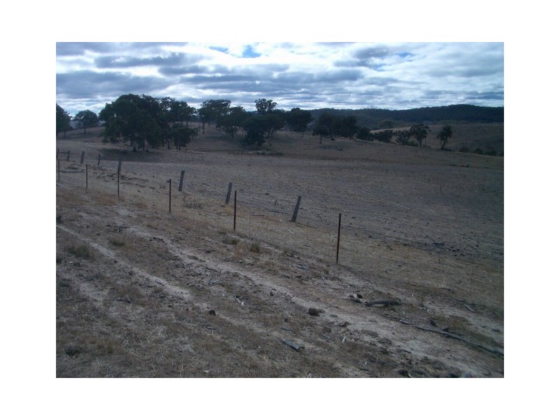 Mudgee NSW 2850