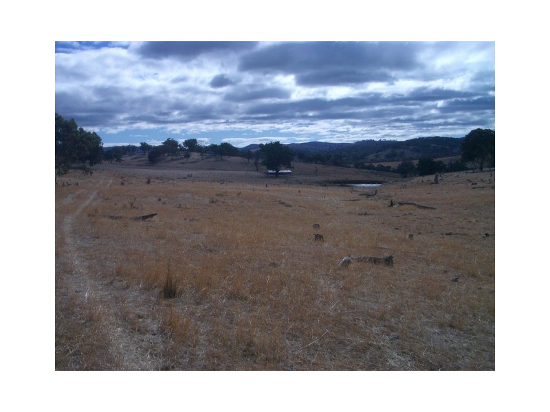 Mudgee NSW 2850