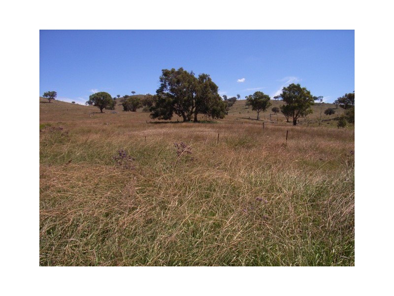 Mudgee NSW 2850