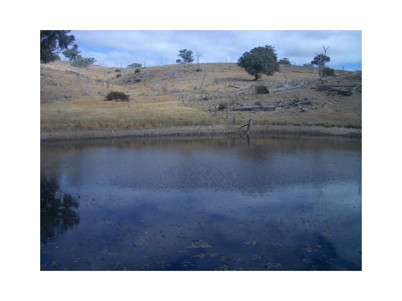 Mudgee NSW 2850