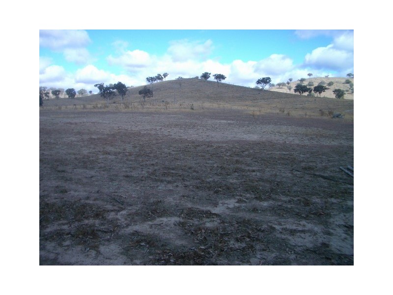 Mudgee NSW 2850