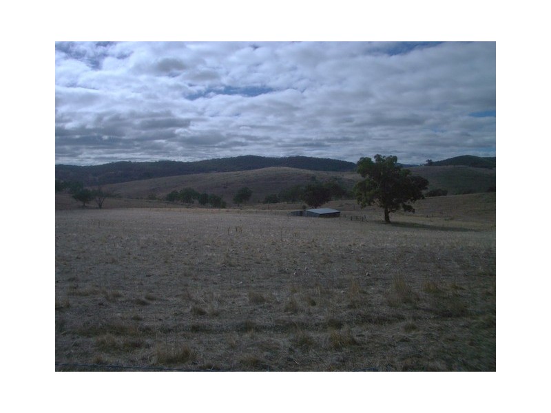 Mudgee NSW 2850