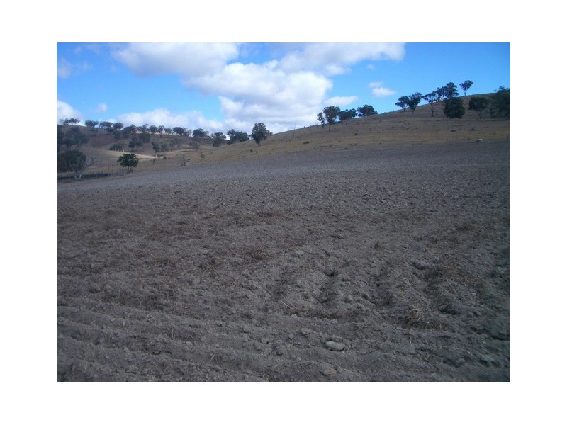 Mudgee NSW 2850
