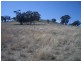 Block 4 Botobolar Road, Mudgee NSW 2850