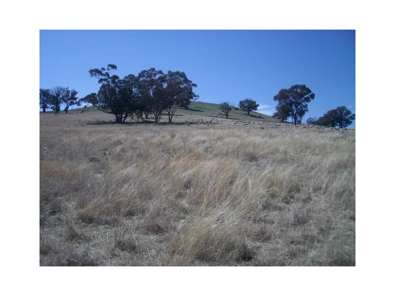 Block 4 Botobolar Road, Mudgee NSW 2850