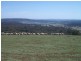 Block 4 Botobolar Road, Mudgee NSW 2850