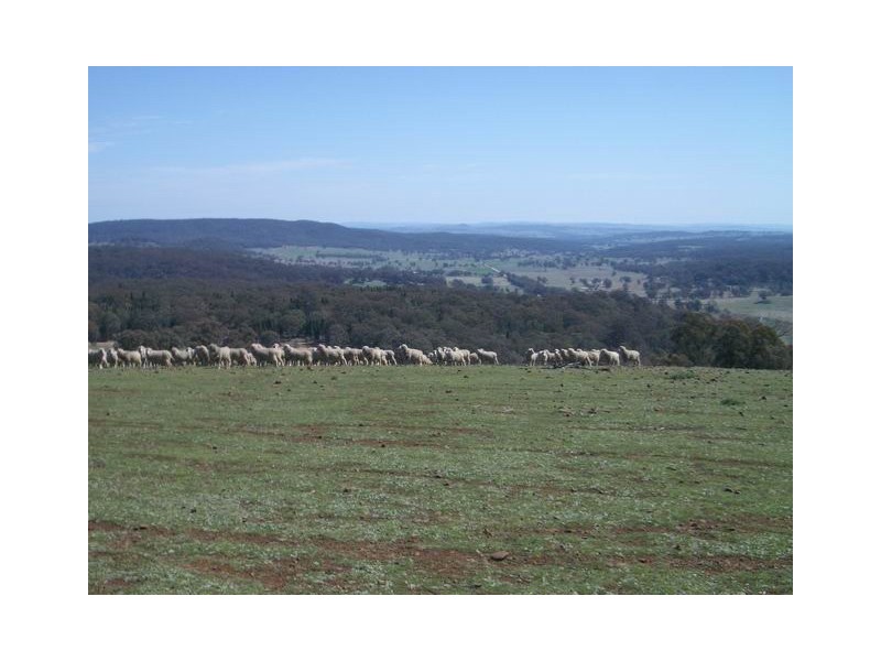 Block 4 Botobolar Road, Mudgee NSW 2850