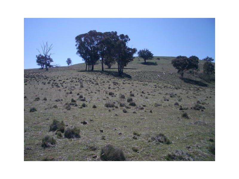 Block 4 Botobolar Road, Mudgee NSW 2850