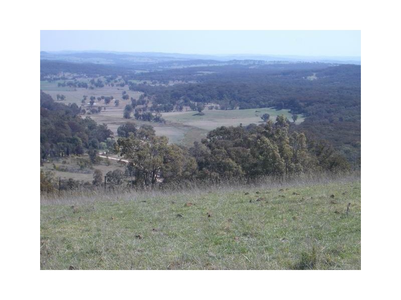 Block 4 Botobolar Road, Mudgee NSW 2850