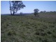 Block 4 Botobolar Road, Mudgee NSW 2850