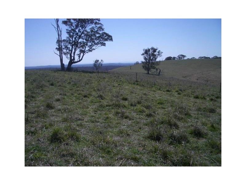 Block 4 Botobolar Road, Mudgee NSW 2850