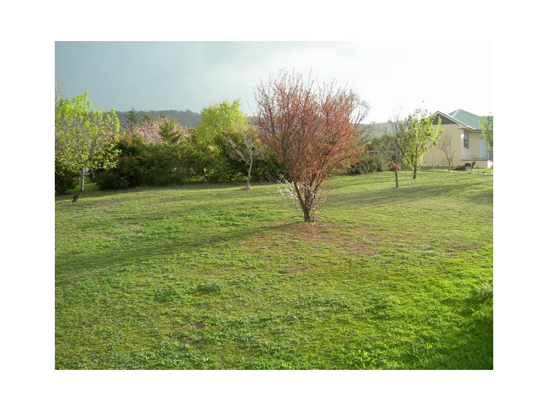 Mudgee NSW 2850