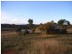 Mudgee NSW 2850