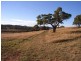 Mudgee NSW 2850